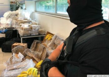 Banane dhe kokainë, një rrugëtim i përbashkët…