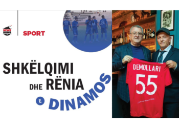 Shkëlqimi dhe rënia e Dinamos