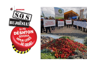 S.O.S. Bujqësia! Si po dështon qeveria,  hipur lesës së qeve!