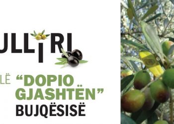 Ulliri i lë “dopio gjashtën” Bujqësisë
