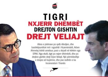 Tigri nxjerr dhëmbët, drejton gishtin drejt Veliajt