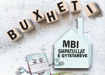 BUXHETI MBI SHPATULLAT E QYTETARËVE