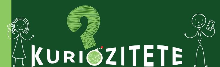 Pse quhet Deti i Zi?